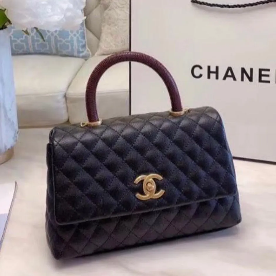 Designer Handbags for Women - CHL - 5827