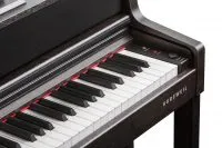 Kurzweil CUP410