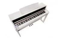 Kurzweil CUP410