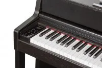 Kurzweil CUP410