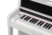 Kurzweil CUP410