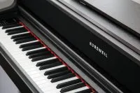 Kurzweil CUP410