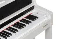 Kurzweil CUP410