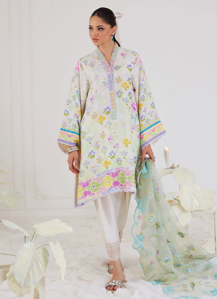 Tara Luxe Edit '24 - Belen Shirt And Dupatta